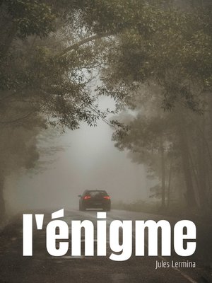 cover image of L'énigme